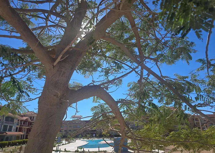 Luxury Inside Premium Lagoon View Sheikh